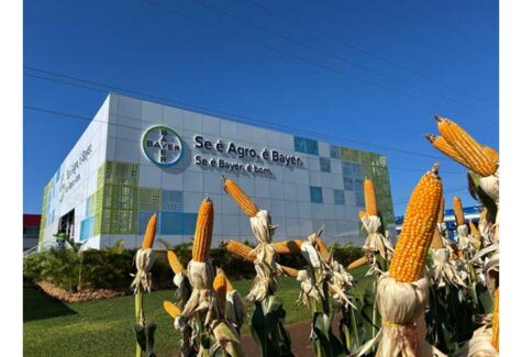 Bayer apresenta novas soluções de proteção de cultivos