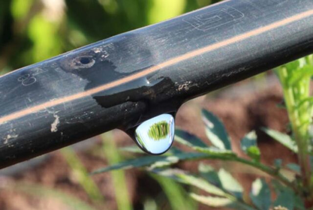 Irrigação no tempo certo: como o planejamento antecipado facilita a implantação e amplia os resultados na lavoura