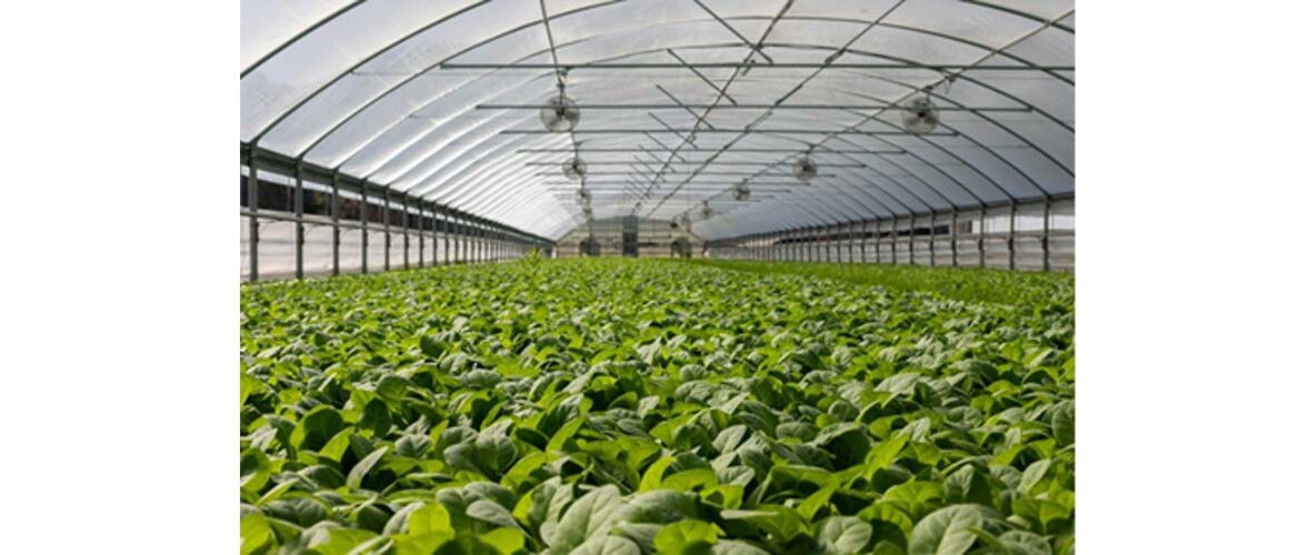 Bolsa de Ação Climática e USP firmam parceria estratégica