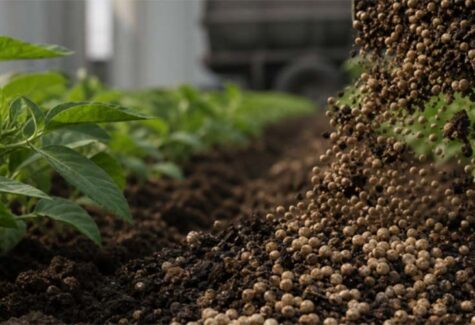 Setor de fertilizantes especiais recua em 2025 sob pressão de custos