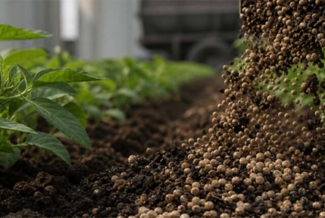 Setor de fertilizantes especiais recua em 2025 sob pressão de custos