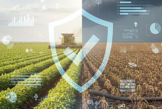EY aponta grau de preparo das empresas brasileiras do agro em 2026