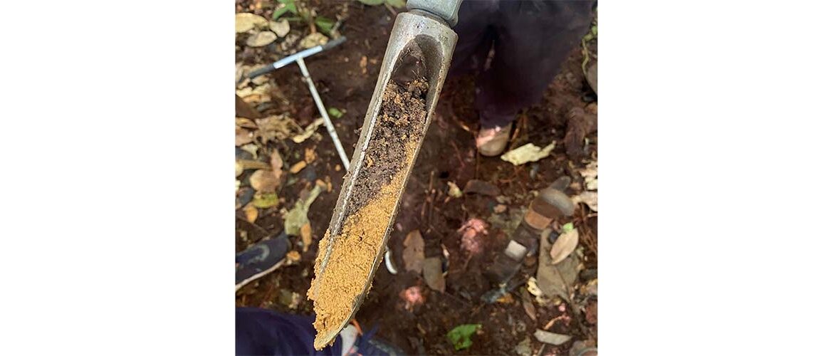 Cresce aplicação de nanopartículas de cobre em solos tropicais   