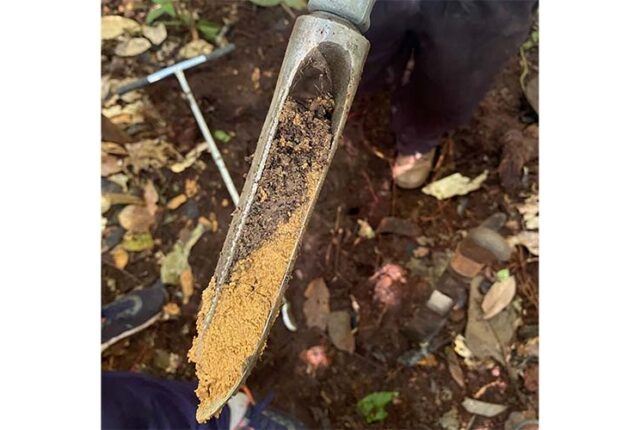 Cresce aplicação de nanopartículas de cobre em solos tropicais