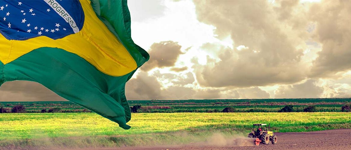  Artigo: O paradoxo silencioso do agronegócio brasileiro 