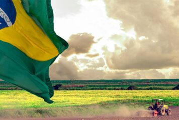  Artigo: O paradoxo silencioso do agronegócio brasileiro 