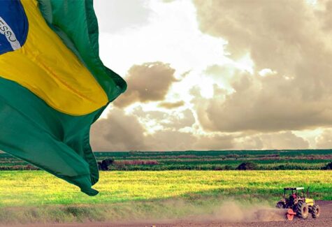 Artigo: O paradoxo silencioso do agronegócio brasileiro