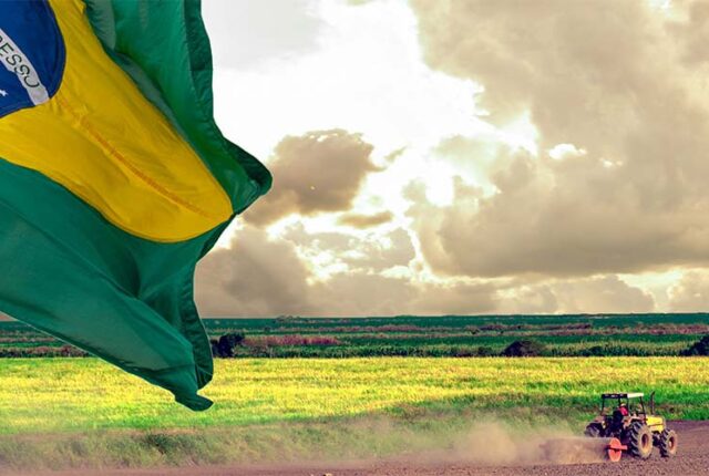 Artigo: O paradoxo silencioso do agronegócio brasileiro