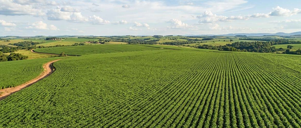 Agronegócio: monitoramento via satélite torna-se requisito para exportações
