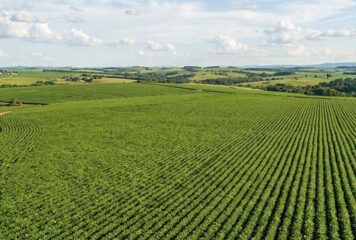 Agronegócio: monitoramento via satélite torna-se requisito para exportações