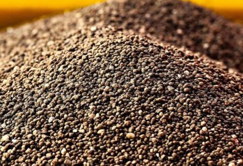 Artigo: Estratégias do agro para reduzir dependência do adubo importado