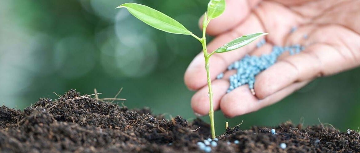 Fertilizantes: entregas registraram mais de 12 mil t no primeiro quadrimestre