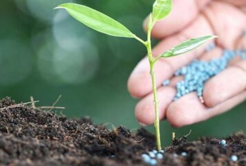Fertilizantes: entregas registraram mais de 12 mil t no primeiro quadrimestre