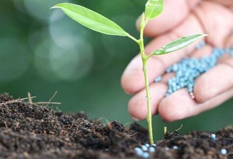 Fertilizantes: entregas registraram mais de 12 mil t no primeiro quadrimestre