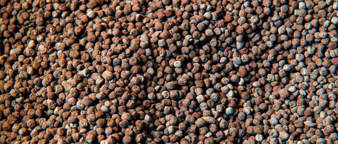 Dependência externa expõe agronegócio brasileiro à volatilidade dos fertilizantes