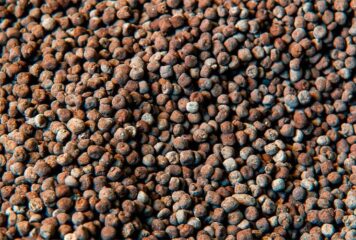 Dependência externa expõe agronegócio brasileiro à volatilidade dos fertilizantes