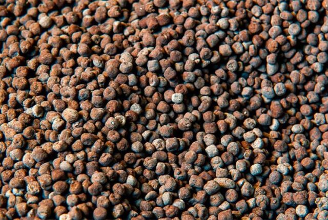 Dependência externa expõe agronegócio brasileiro à volatilidade dos fertilizantes