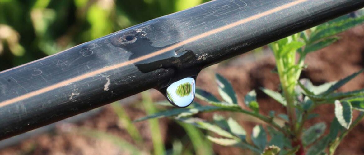 Netafim evolui comunicação da marca e reforça proximidade com o produtor rural