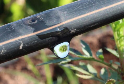 Netafim evolui comunicação da marca e reforça proximidade com o produtor rural