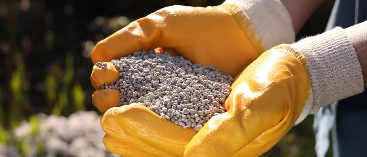 Remineralizador ganha aporte para redefinir nutrição de safras no Brasil