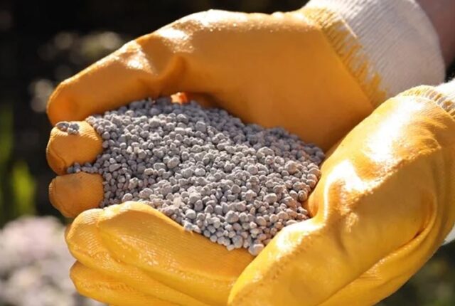 Remineralizador ganha aporte para redefinir nutrição de safras no Brasil