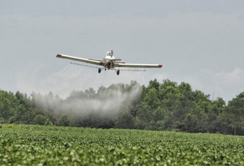 Setor de fertilizantes alerta: pressão sobre custos e crédito pode reduzir investimento no campo