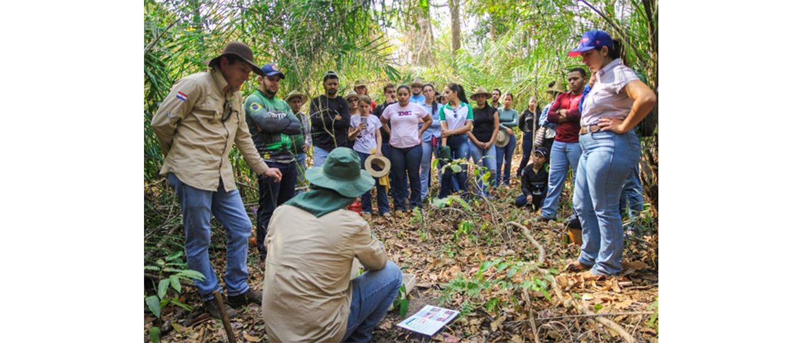 AGCO e TNC Brasil impulsionam recuperação de pastagens degradadas
