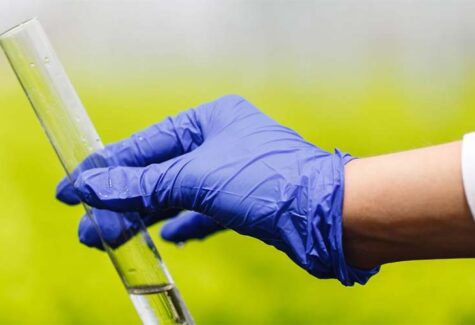 ANPII Bio: bioinsumos devem fechar 2026 com alta em valor e volume