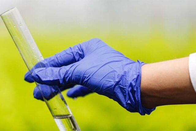 ANPII Bio: bioinsumos devem fechar 2026 com alta em valor e volume