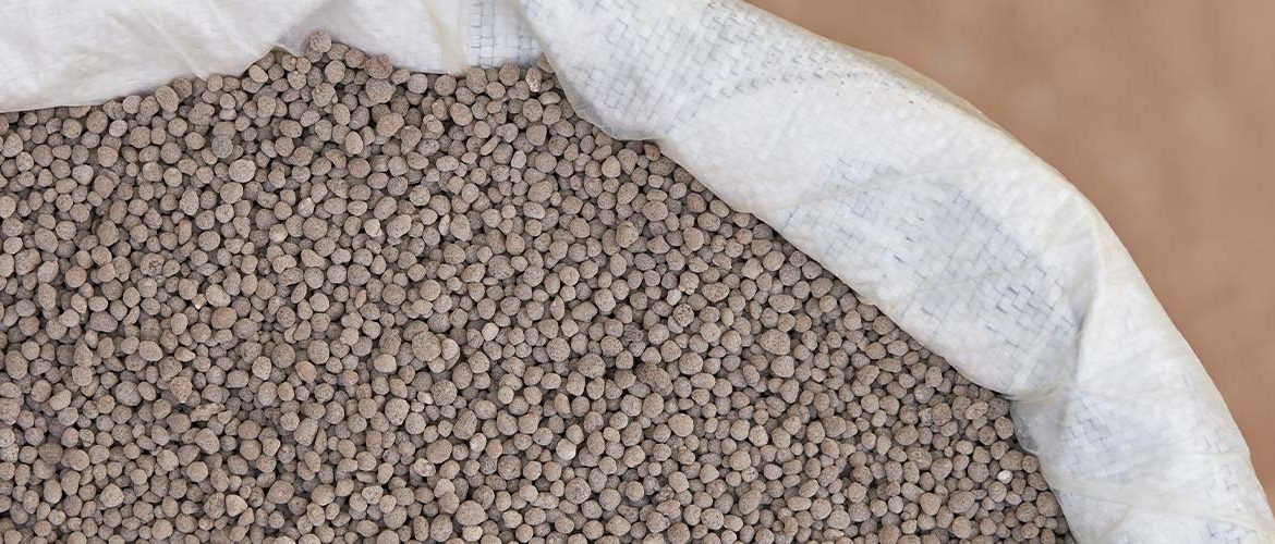 Cooperativas, produtores rurais e pecuaristas ganham prazo para recuperar créditos