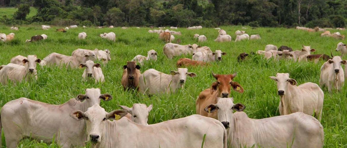 Iniciativa @Mais Eficiente foi selecionada entre as boas práticas e inovações mundiais