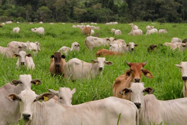 Iniciativa @Mais Eficiente foi selecionada entre as boas práticas e inovações mundiais