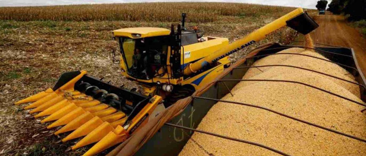 Safra recorde de milho expõe gargalo do frete e força produtor a antecipar vendas sem margem