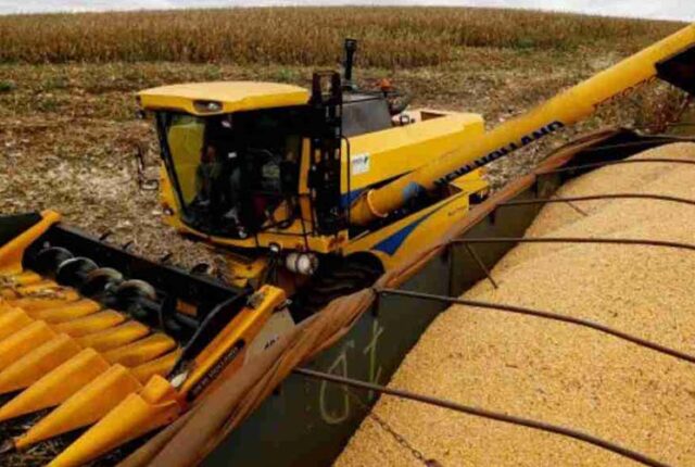 Safra recorde de milho expõe gargalo do frete e força produtor a antecipar vendas sem margem