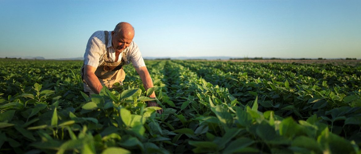 Novo marco do seguro rural pode destravar crédito e acelerar a retomada do agronegócio