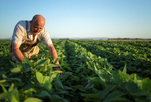 Novo marco do seguro rural pode destravar crédito e acelerar a retomada do agronegócio