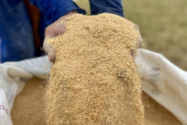 Cargill e Conab lançam programa “Mais Farelo – Soja” para pequenos e médios produtores no DF 